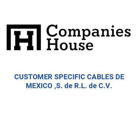CUSTOMER SPECIFIC CABLES DE MEXICO, S. DE R.L. DE C.V. | Mexico ...